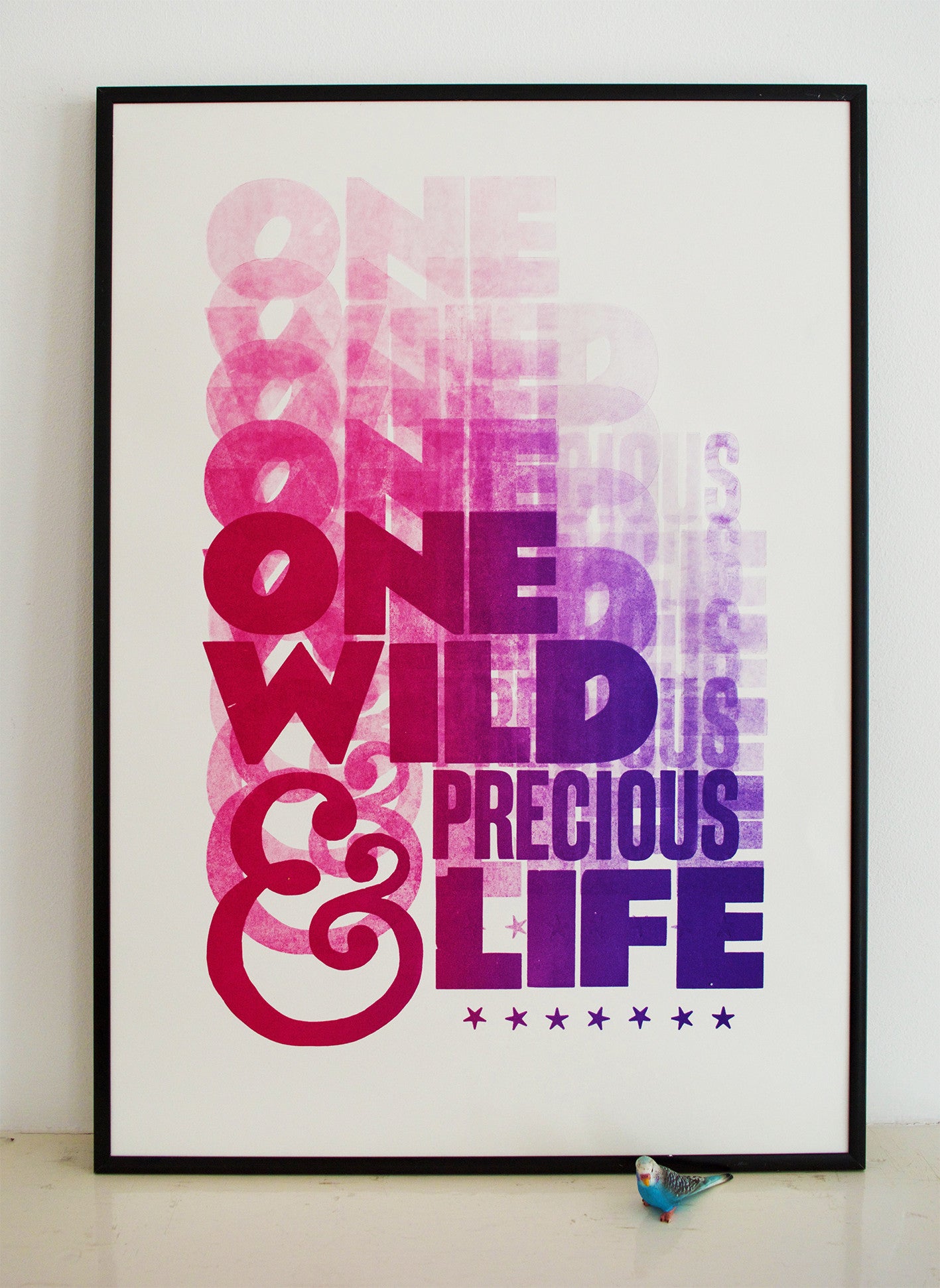 mary oliver quote, life, art print, split fountain, Wild Geese